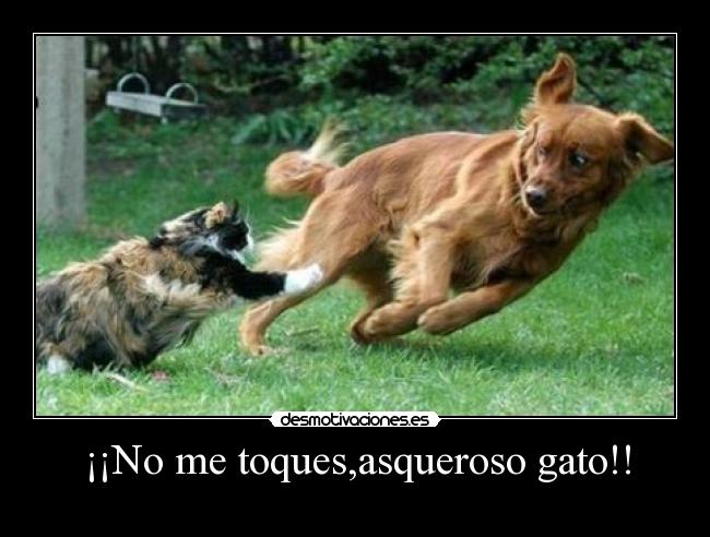 ¡¡No me toques,asqueroso gato!! -
