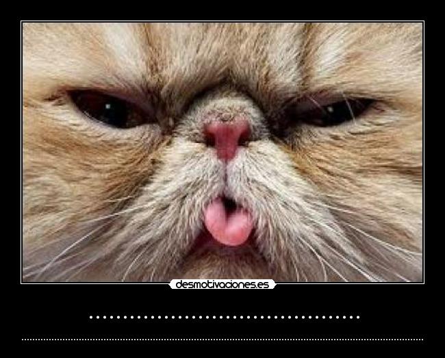 ........................................ - ................................................................................................................................................................................................................................................................................................