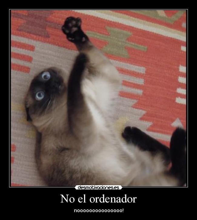 No el ordenador - nooooooooooooooo!