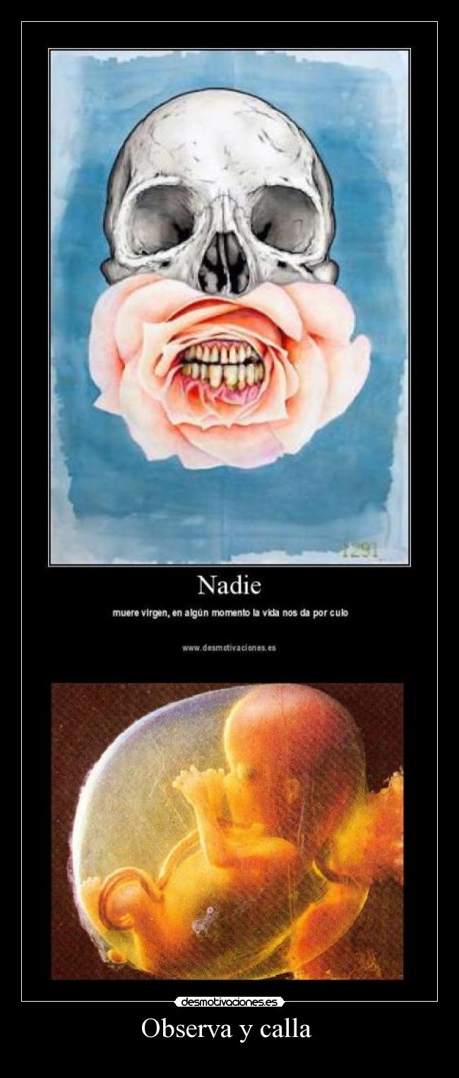 Observa y calla -