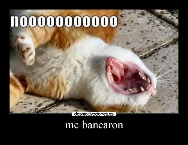 me banearon - 