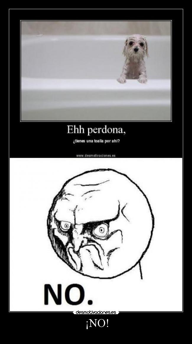 ¡NO! - 