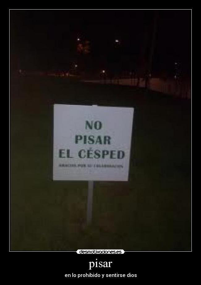 pisar - 