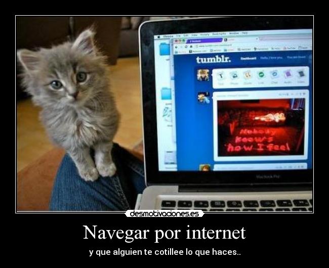 Navegar por internet - y que alguien te cotillee lo que haces..