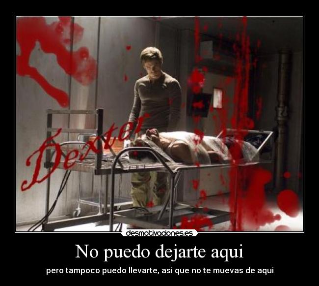 No puedo dejarte aqui - pero tampoco puedo llevarte, asi que no te muevas de aqui
