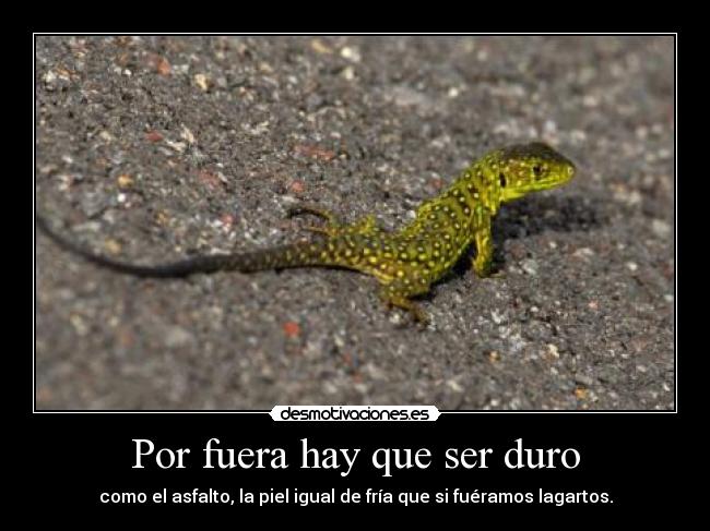 Por fuera hay que ser duro - como el asfalto, la piel igual de fría que si fuéramos lagartos.