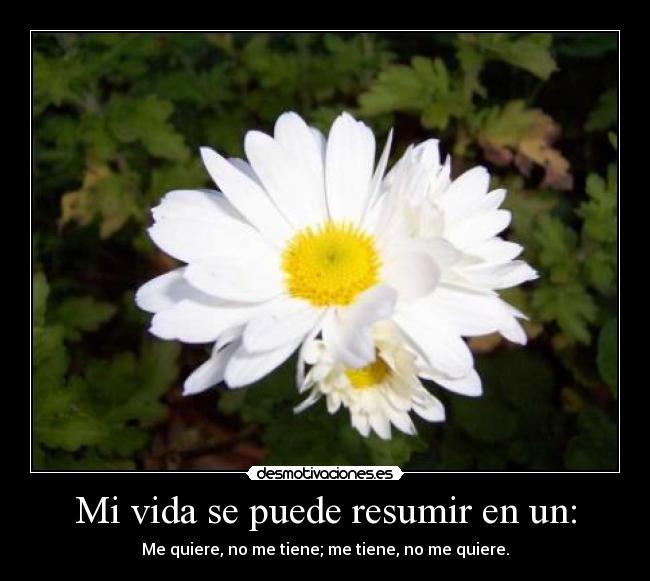 Mi vida se puede resumir en un: - Me quiere, no me tiene; me tiene, no me quiere.