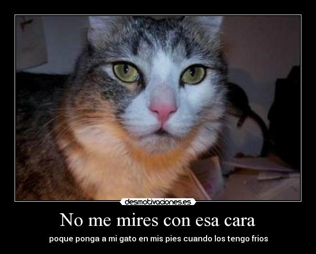 No me mires con esa cara -