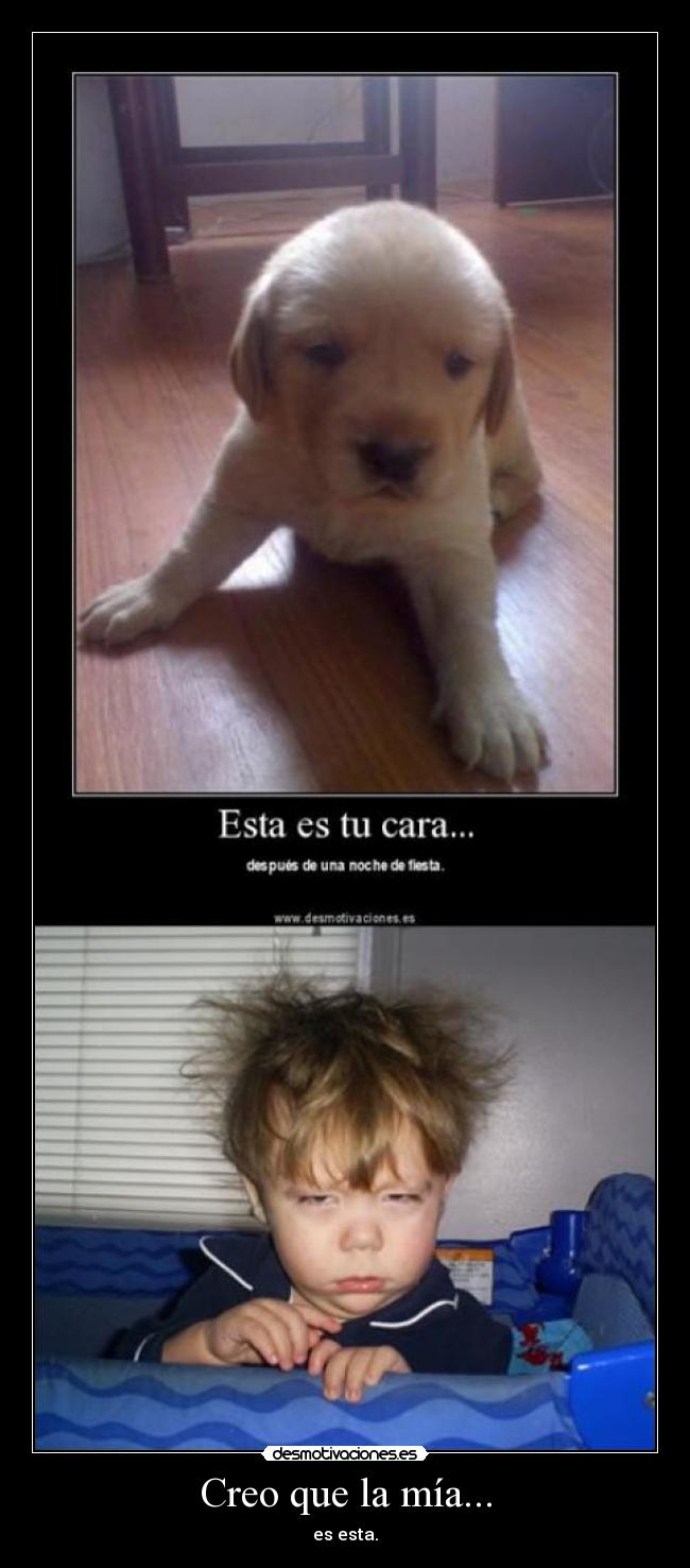 Creo que la mía... - 