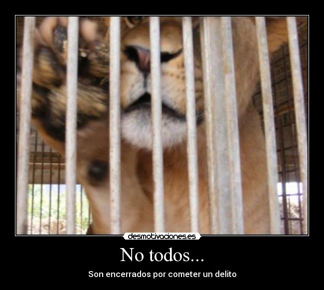 No todos... -