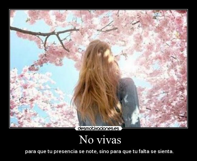   No vivas  - 