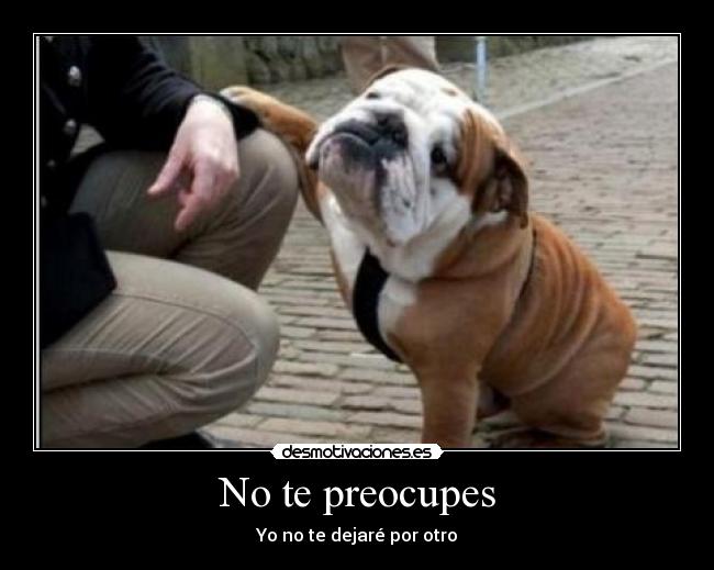 No te preocupes -