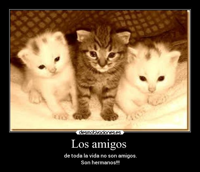 Los amigos -