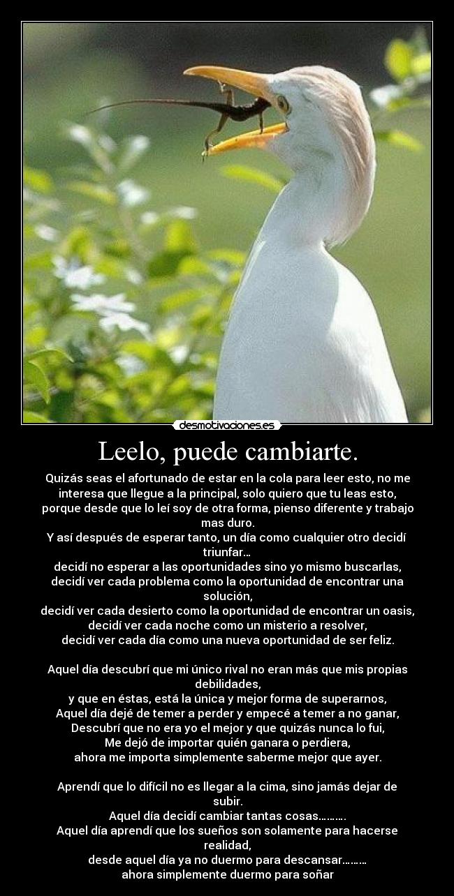 Leelo, puede cambiarte. -