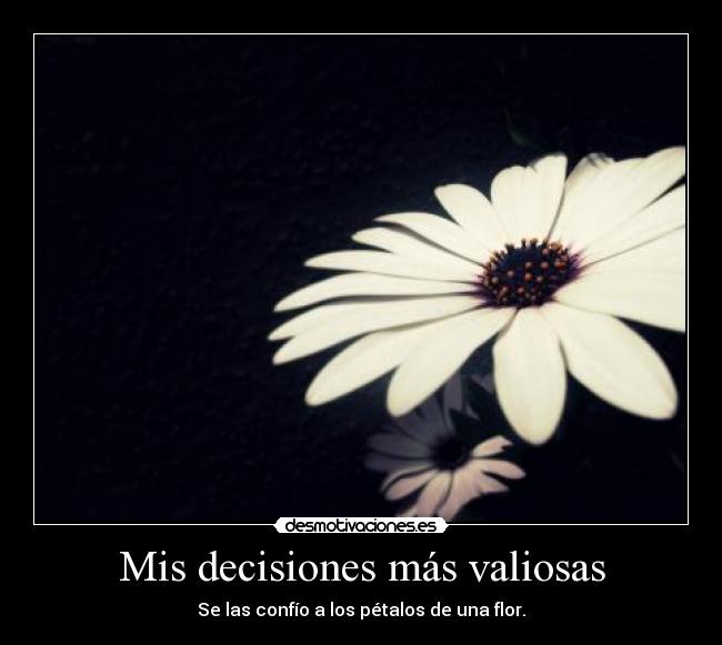 Mis decisiones más valiosas - Se las confío a los pétalos de una flor.