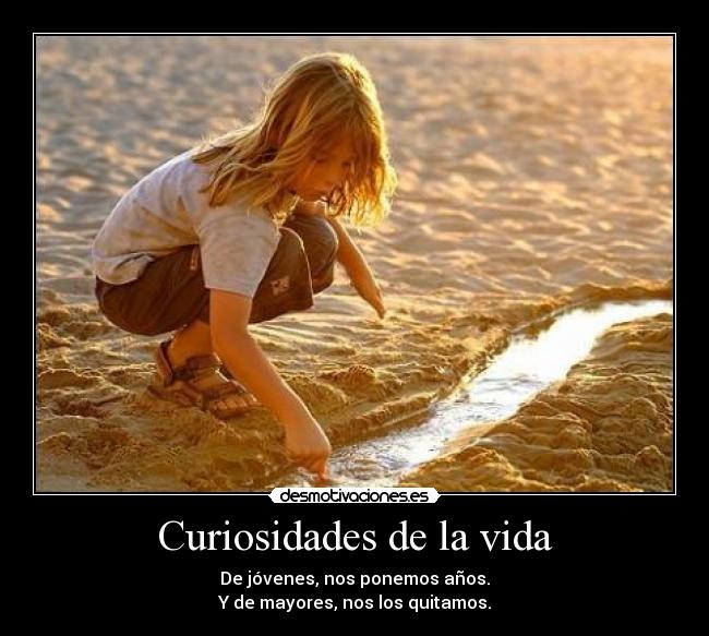 Curiosidades de la vida - 