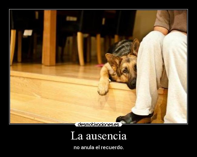 La ausencia Desmotivaciones