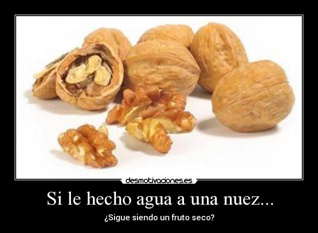 Si le hecho agua a una nuez... - ¿Sigue siendo un fruto seco?