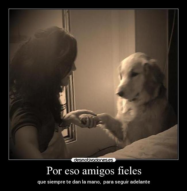Por eso amigos fieles - que siempre te dan la mano,  para seguir adelante