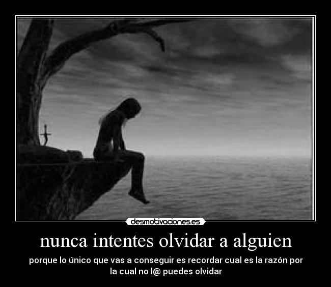 nunca intentes olvidar a alguien -