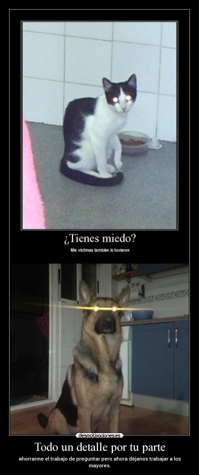 Todo un detalle por tu parte - ahorrarme el trabajo de preguntar pero ahora déjanos trabajar a los mayores.