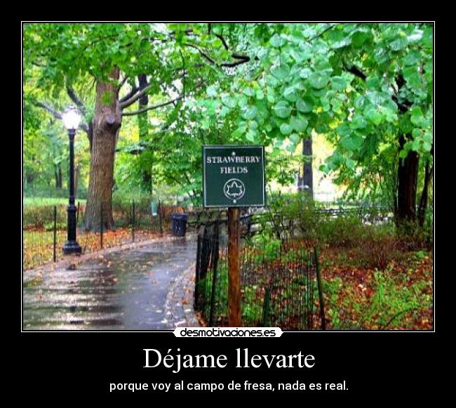 Déjame llevarte - 