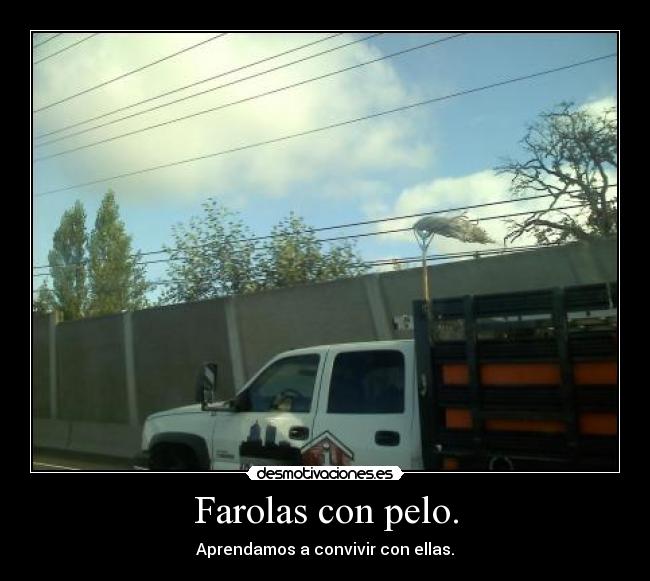 Farolas con pelo. - 