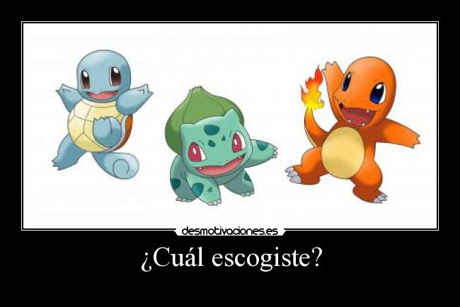 ¿Cuál escogiste? -