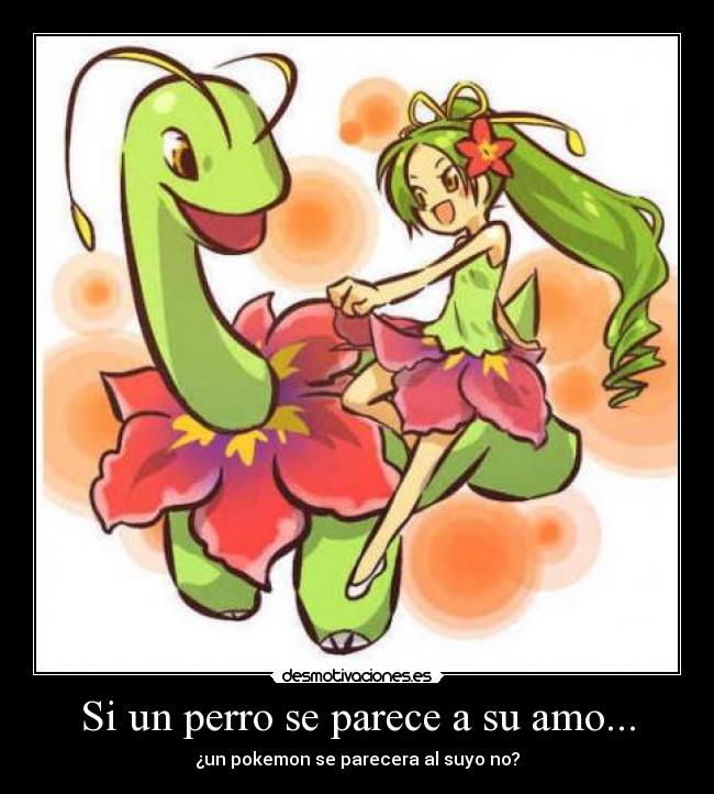 Si un perro se parece a su amo... -