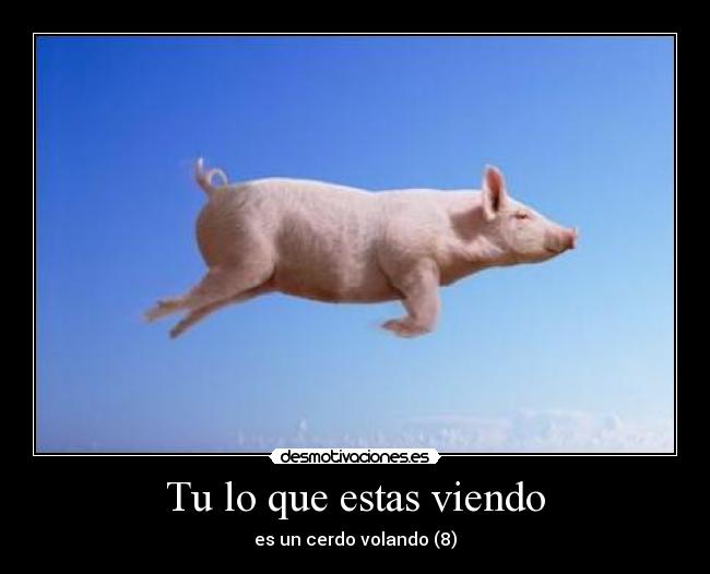 Tu lo que estas viendo -