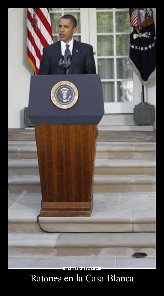 Ratones en la Casa Blanca -