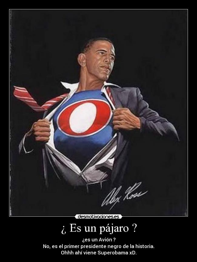 ¿ Es un pájaro ? -