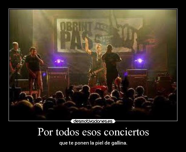 Por todos esos conciertos - que te ponen la piel de gallina.