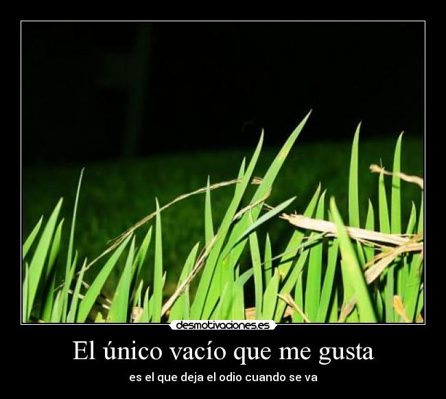 El único vacío que me gusta - es el que deja el odio cuando se va