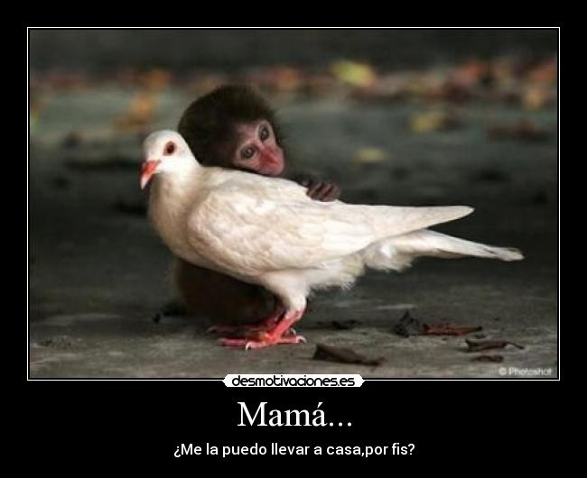 Mamá... - ¿Me la puedo llevar a casa,por fis?