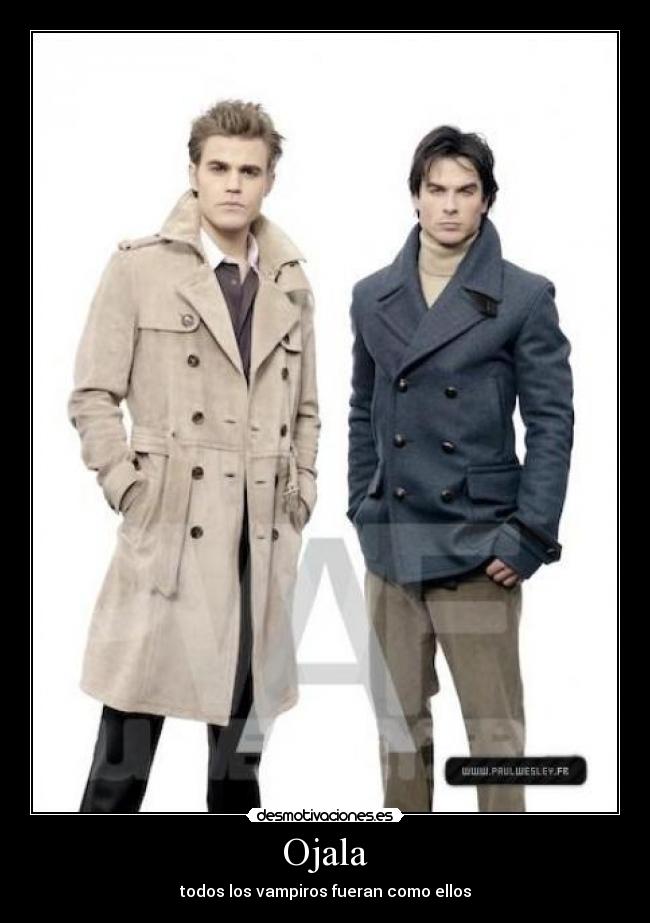 Ojala - todos los vampiros fueran como ellos