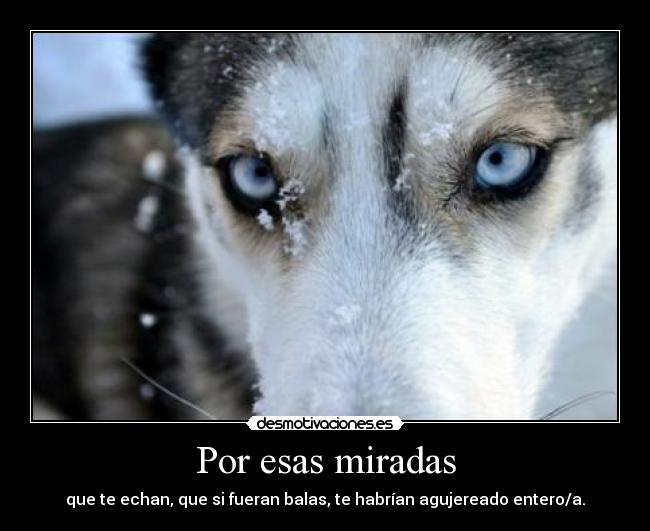 Por esas miradas - que te echan, que si fueran balas, te habrían agujereado entero/a.