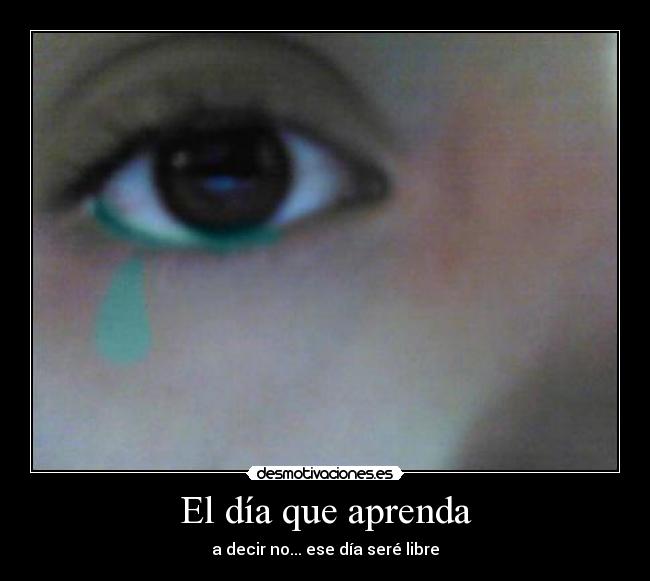 carteles como ave desmotivaciones