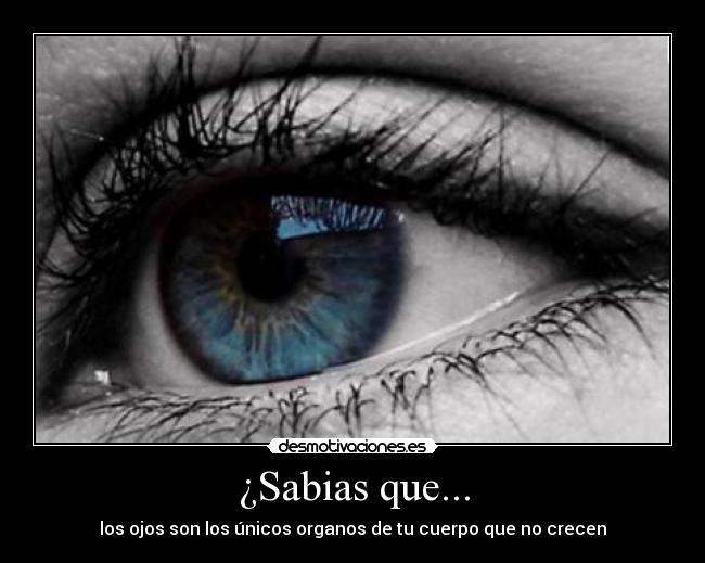 ¿Sabias que... -
