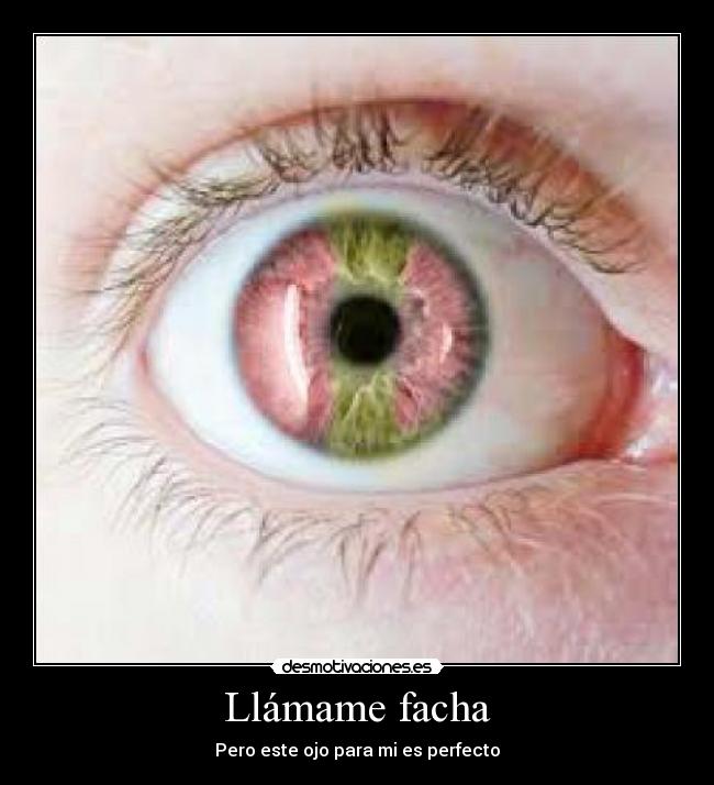 Llámame facha - Pero este ojo para mi es perfecto