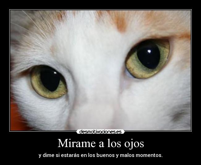 Mirame a los ojos - y dime si estarás en los buenos y malos momentos.