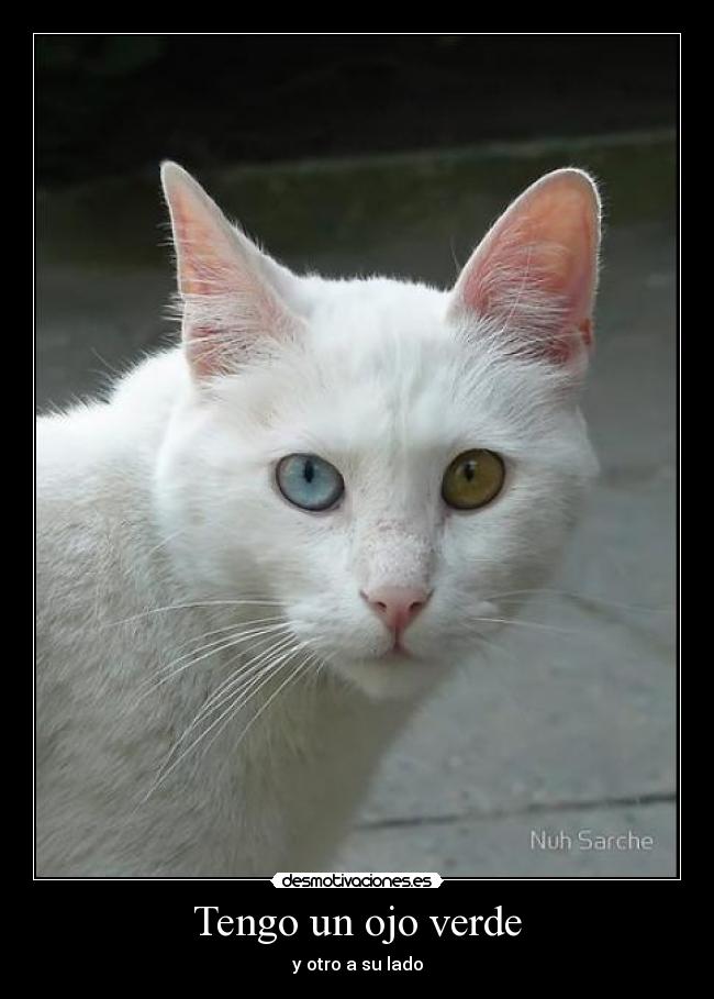 Tengo un ojo verde - y otro a su lado