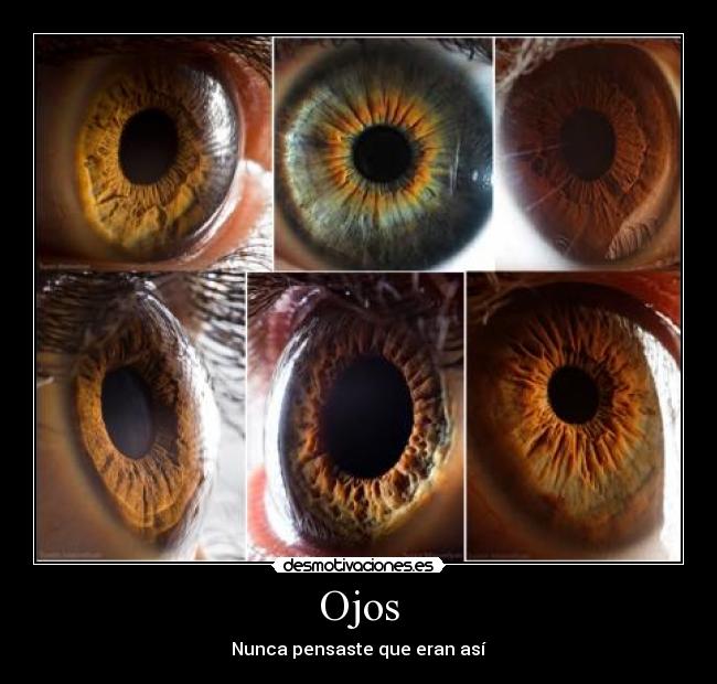 Ojos - Nunca pensaste que eran así