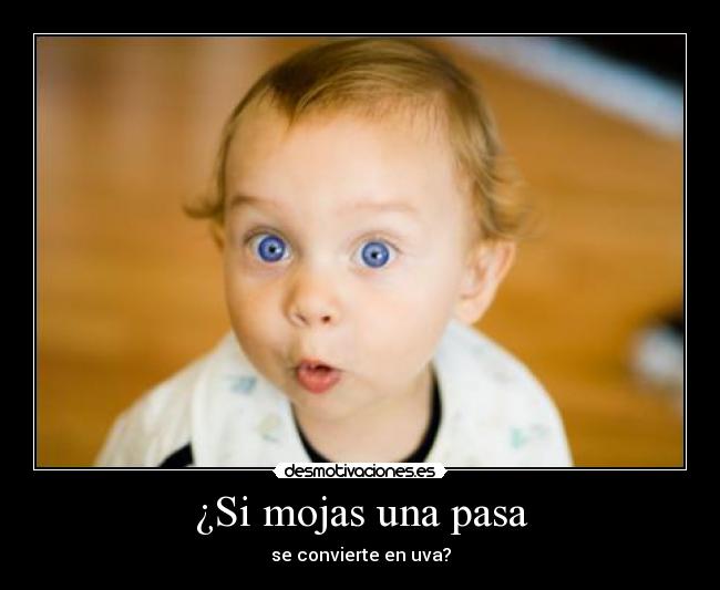 ¿Si mojas una pasa -