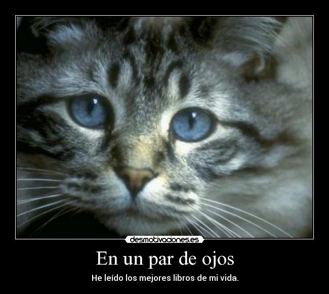 En un par de ojos -