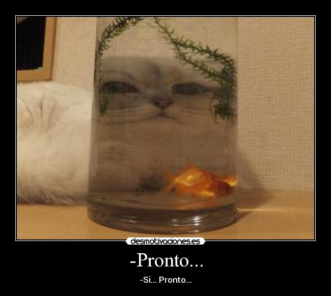 -Pronto... - -Si... Pronto...