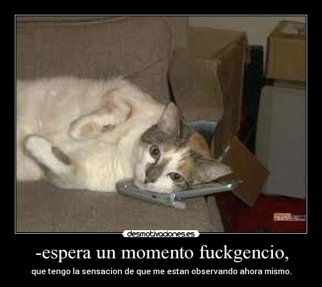 -espera un momento fuckgencio, - 
