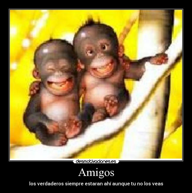 Amigos - los verdaderos siempre estaran ahí aunque tu no los veas