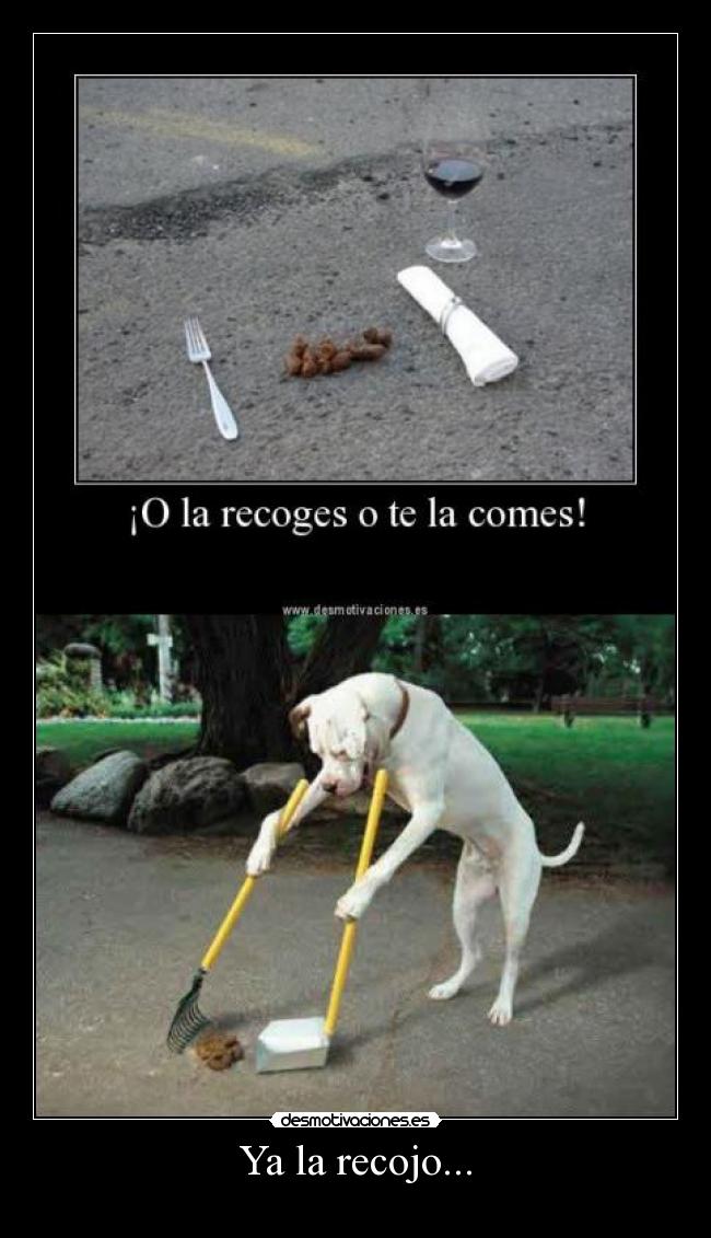 Ya la recojo... - 