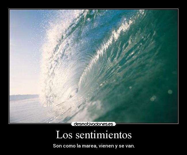 Los sentimientos - 